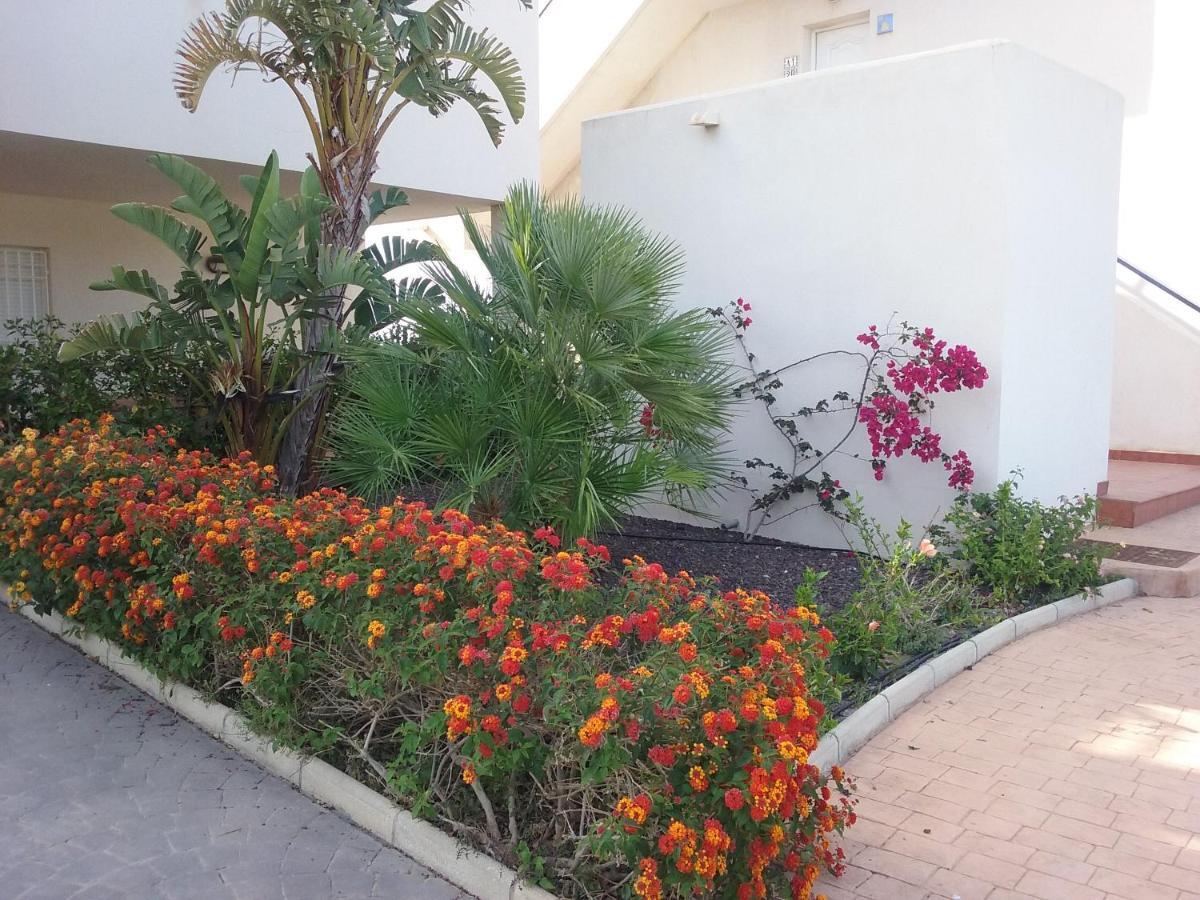 Apartamento Junto Al Mar En La Costa De Almeria El Pozo del Esparto المظهر الخارجي الصورة